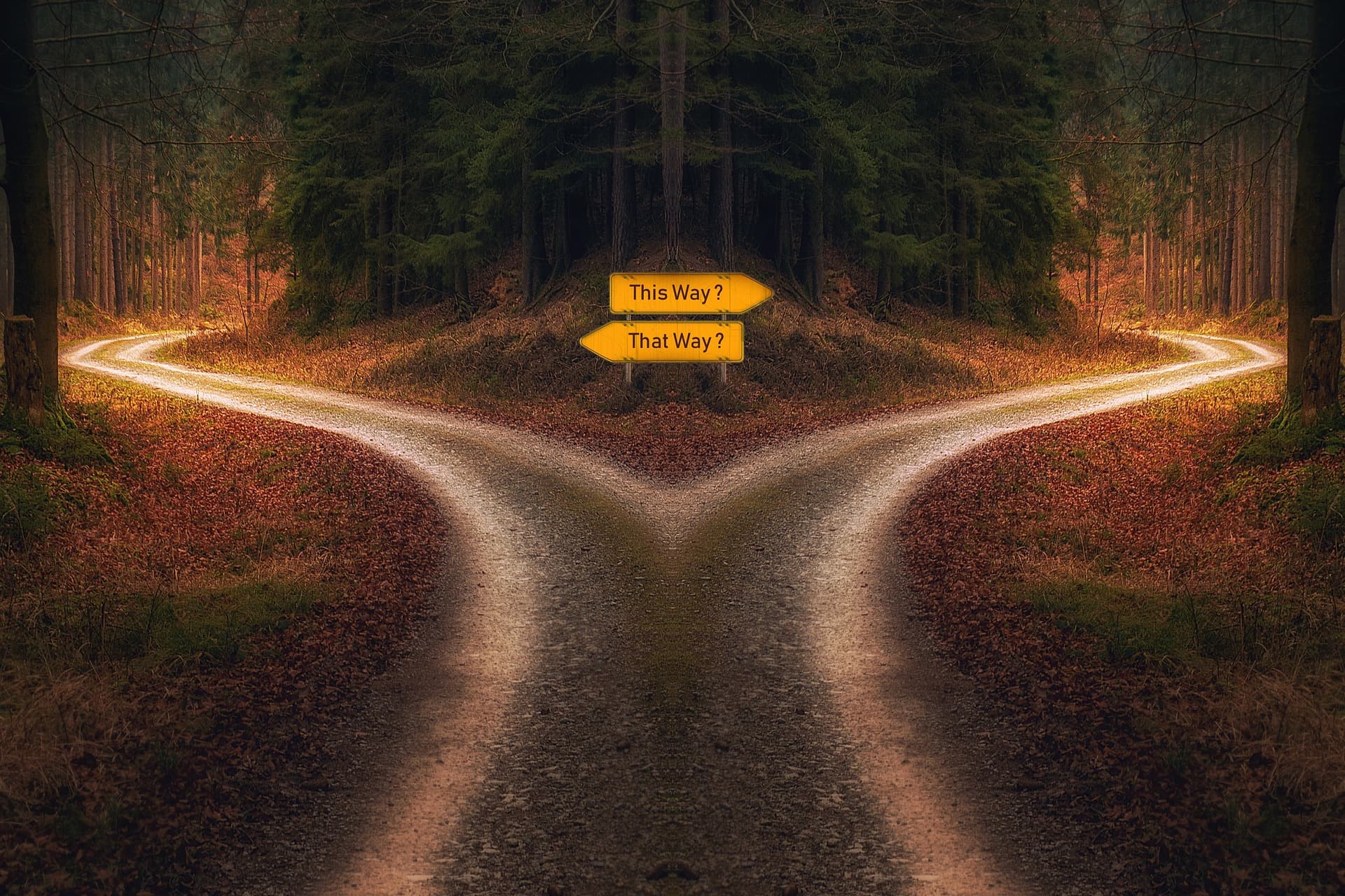 A photo with two possible path rapresenting the decisional choice that happens in preference test